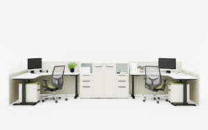 08.23.24 - Ideal Starter Dual Office