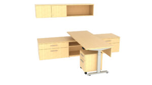 NQS-001